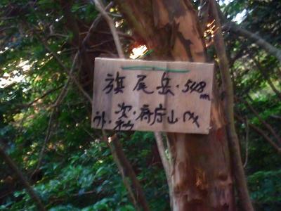 木にこんなプレートもあった