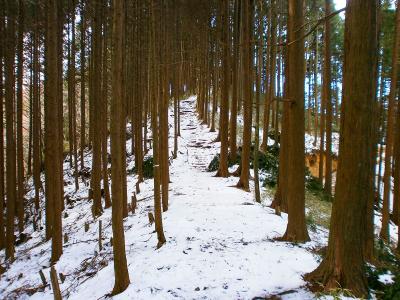 高谷山への登り。これはすぐだった