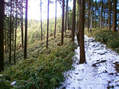 続いて千早峠に下っていく