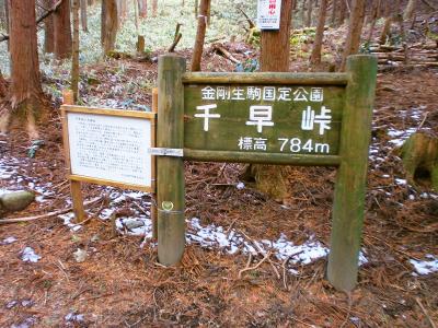 千早峠に到着。このまま北側に向かって池ノ川林道を歩いて金剛山の駐車場へ戻った