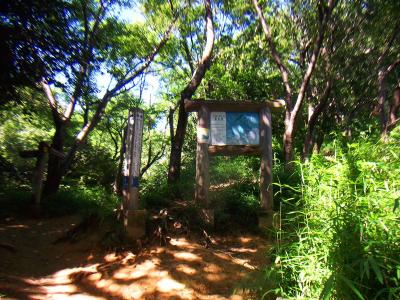 ここは道標に従って右へ登っていく