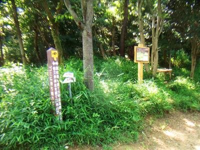 ここがポイント。この先に金鳥山山頂三角点へ向かう道があるが道標などない