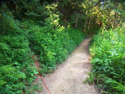 この場所から左に登っていく。実際はさっきのポイントからよく見ておかないと見過ごしてしまうので注意