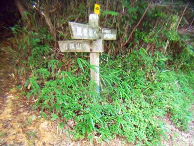 ここを打越山のほうへいく