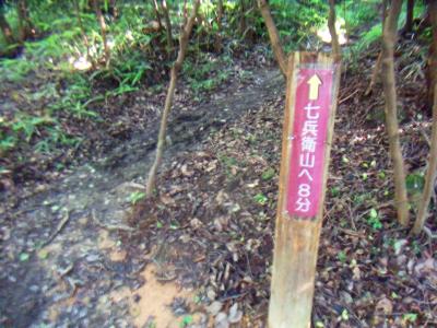 ここから七兵衛山へピストンする。ただのピークハントだけど・・・