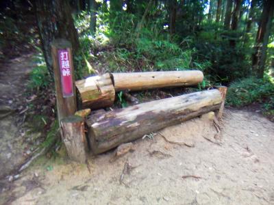 戻って打越峠に到着