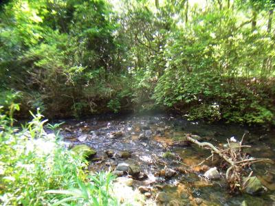黒五山へ向かう途中に沢があった