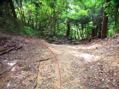 このコルらしき場所がポイント。道標はないが地図を確認すると黒五山はここを左へ登っていく