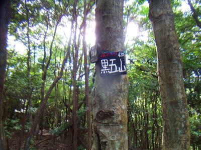 黒五山山頂(420m)に到着。この山頂は樹林に囲まれたところで何もなかった