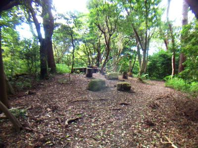 打越峠に戻り、打越山山頂を目指す