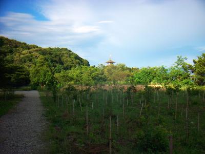 地図で確認すると十文字山山頂がこの辺らしいけど何もない。五重塔みたいなのが見えた