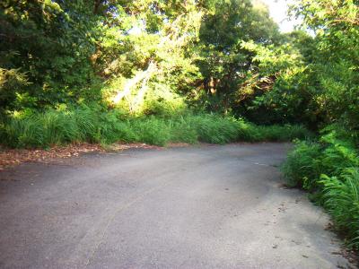 ここから道路を下っていってJR摂津本山駅まで歩いていった。お疲れ様でした