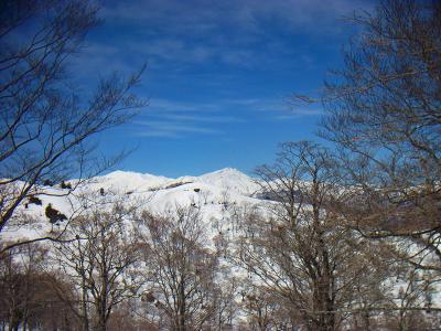 少し歩いていくと白山がでかでかと見えた