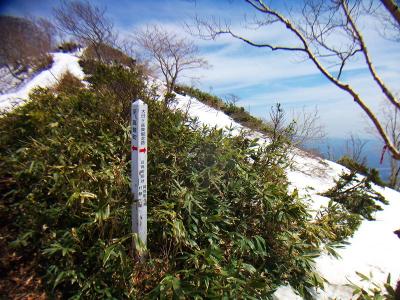 前大日のピークを下ると分岐があるけど、とにかく大日ヶ岳を目指す
