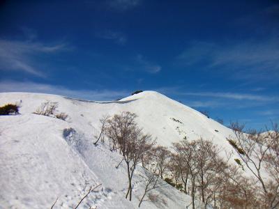 大日ヶ岳のピーク。大変だったのはここの登りくらいかな