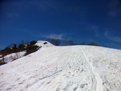 改めて振り返ると自分の滑ってきたシュプールがあった。短距離だけど満足したBCスキーとなった