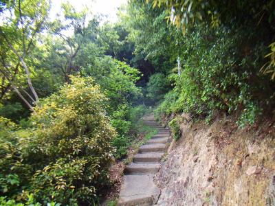 水呑地蔵よりこのような急勾配の階段が続く