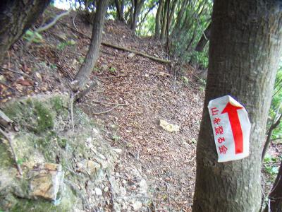 よーく見るとこのような矢印の札が貼っていた