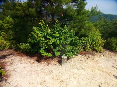 小富士山の山頂(259.8m)に到着