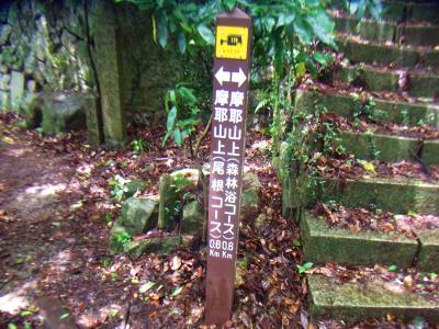 尾根コース暑そうなので森林浴コースへ