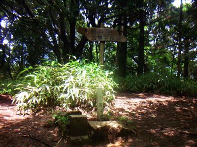 摩耶山頂(698.6m)に到着。三角点もあった