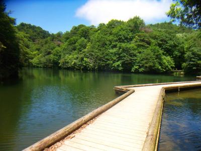 穂高湖。木道があった