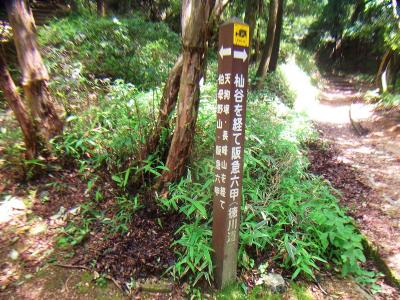 ここで分岐。今回は長峰山（天狗塚）のほうなので左へいく