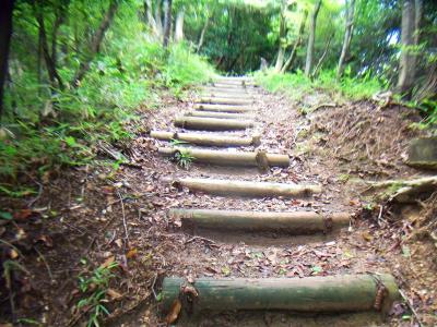 まずは登りの階段になる