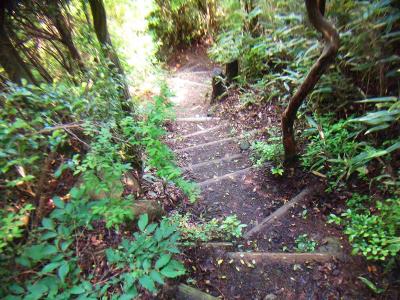 続いて一旦下らされる。杣谷峠～長峰山はアップダウンの道が続く