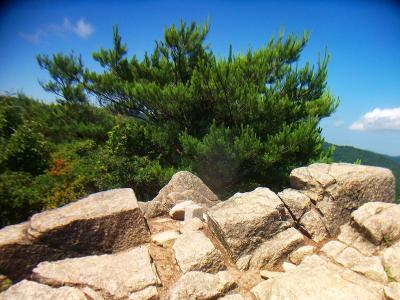 長峰山山頂・天狗塚(678.8m)に到着。岩上で三角点があるだけで何もなかった