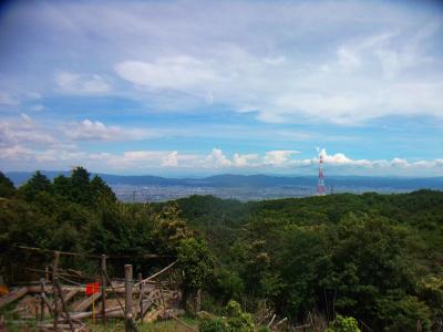 樹林が伐採されていて京都方面が見える