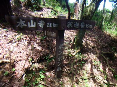 ポンポン山を後にして東海自然歩道で釈迦岳に向かう。1.5kmだけど楽な道だった記憶がある