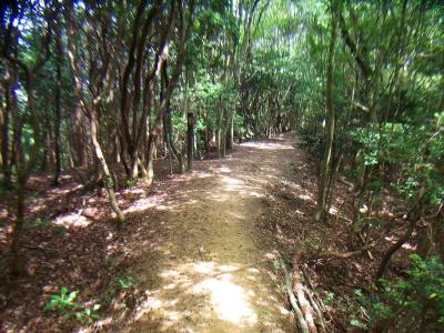 釈迦岳までも尾根歩きが続く