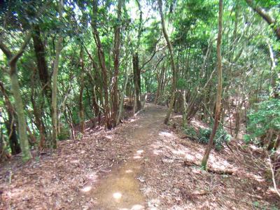 釈迦岳までも急登とかではなくなだらかな登山道が続く