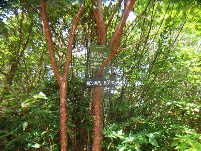 釈迦岳山頂には標高まで書かれたプレートがあった