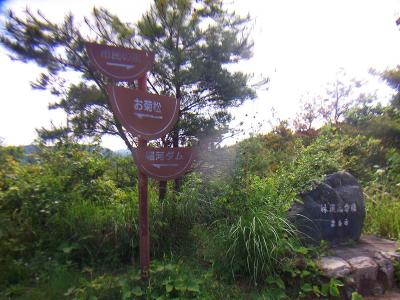 高倉林道よりお菊山の稜線入り口