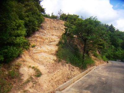 林道よりここを登っていく