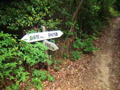 三角点に向かう。354.8mお菊山三角点へは笹峠のほうへ向かっていく