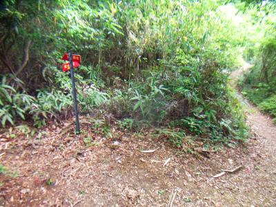 一番高いと思われるピーク付近でこのような分岐がある