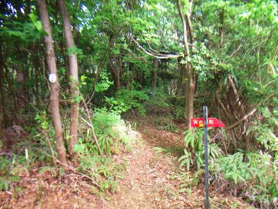 この細いところを登っていく