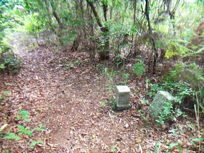 登っていくと一番高いピークのところに三角点があった