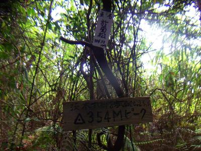 点名「於菊松山」。三等三角点(354.34m)に到着