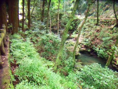 まずは箕面の滝へ。沢筋の遊歩道を歩いていく