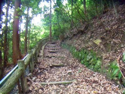 箕面山、三国岳までひたすら登りが続く