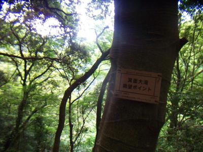 箕面の滝が見える展望ポイント