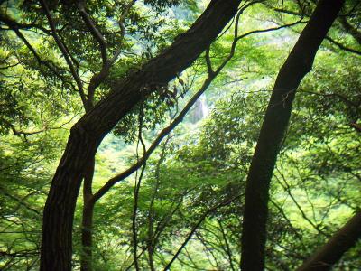 箕面の滝が見えてるけど画像だとよくわからないし小さい