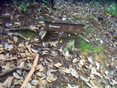 20分ほどで箕面山分岐へ。ここで箕面山をピークハントする