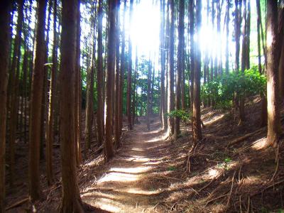 三国岳より尾根道が続く