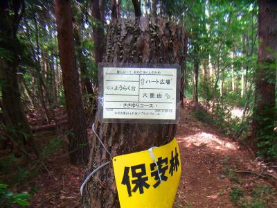 ハート広場との分岐。ここの分岐がポイントで六個山へピストンして再びここに戻る
