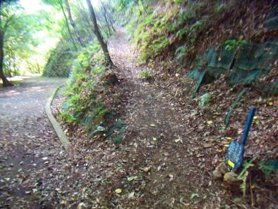 続いてあおぞら展望台のほうへ向かうのでこの右側を登っていく